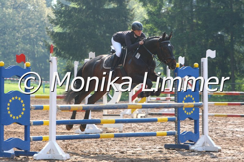 103M3067_Catiello_Springpf A.JPG